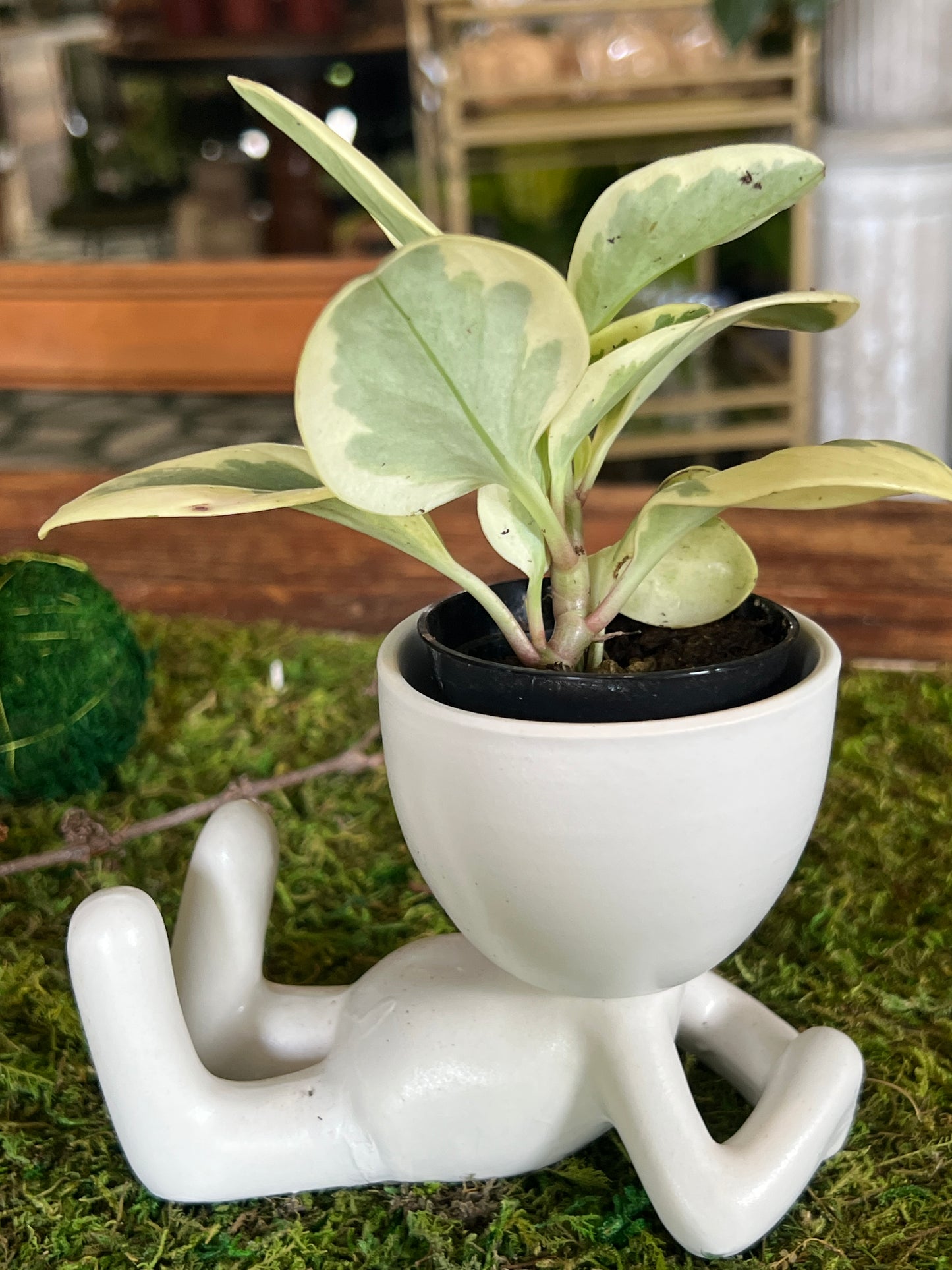 Pot Head Planter