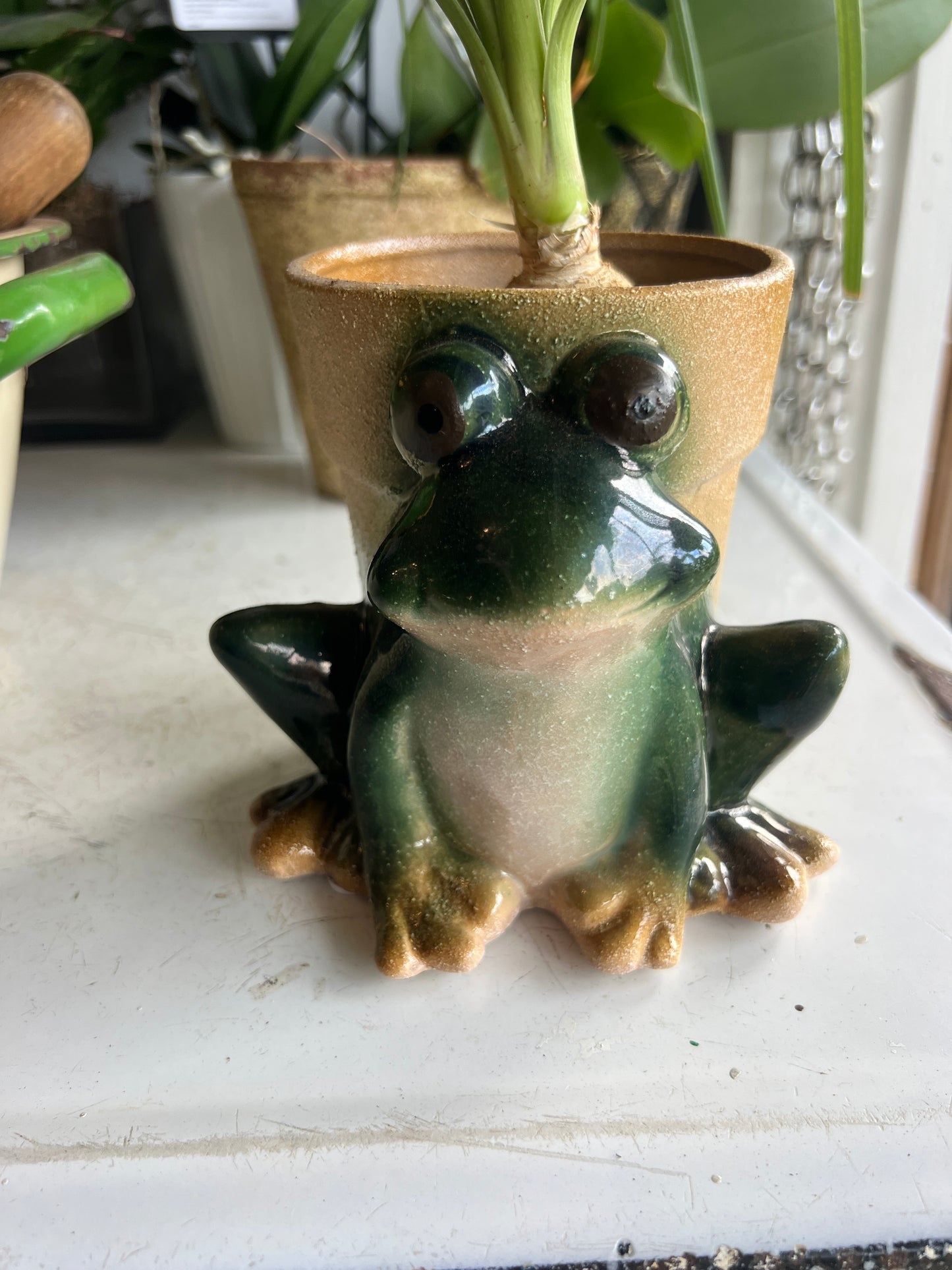 Ceramic Frog Planter