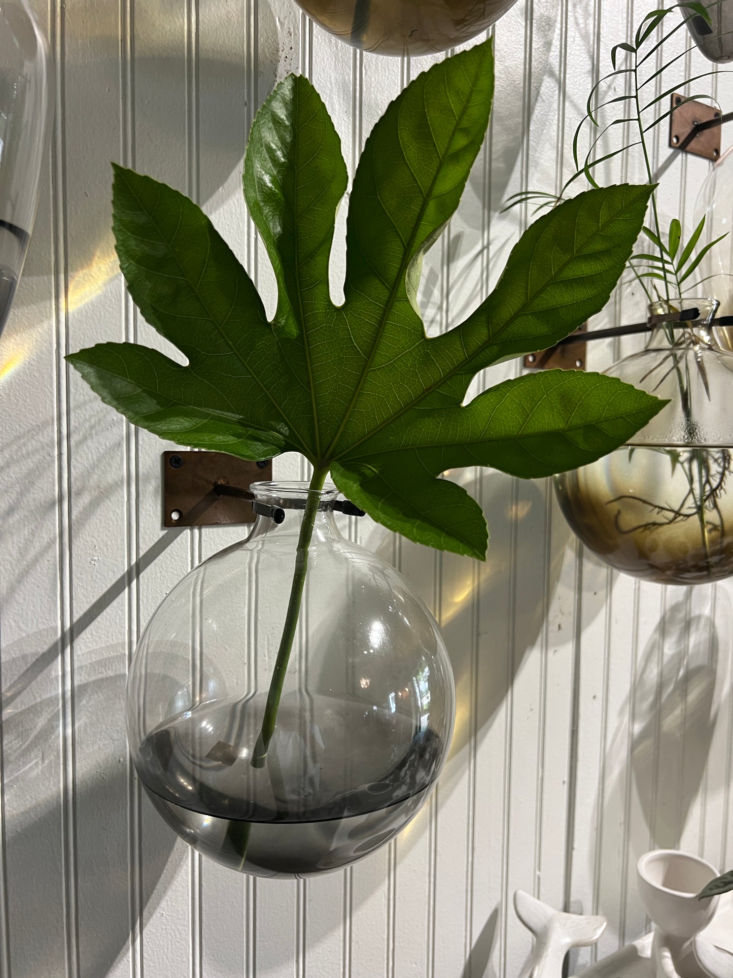 Envision Wall Vase