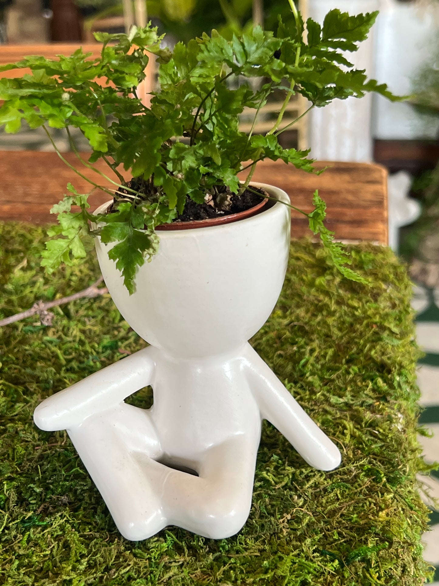 Pot Head Planter