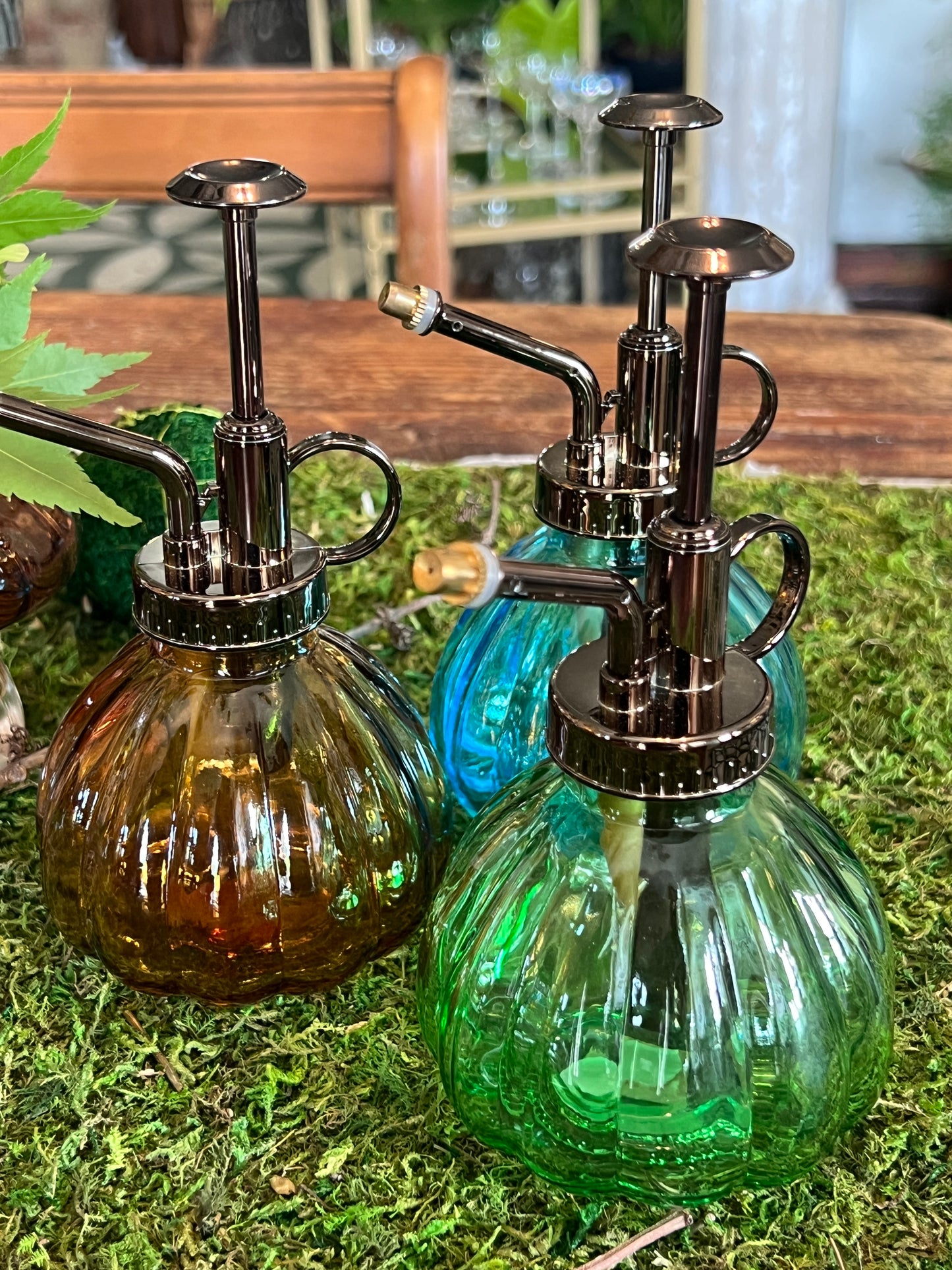Glass Plant Mister