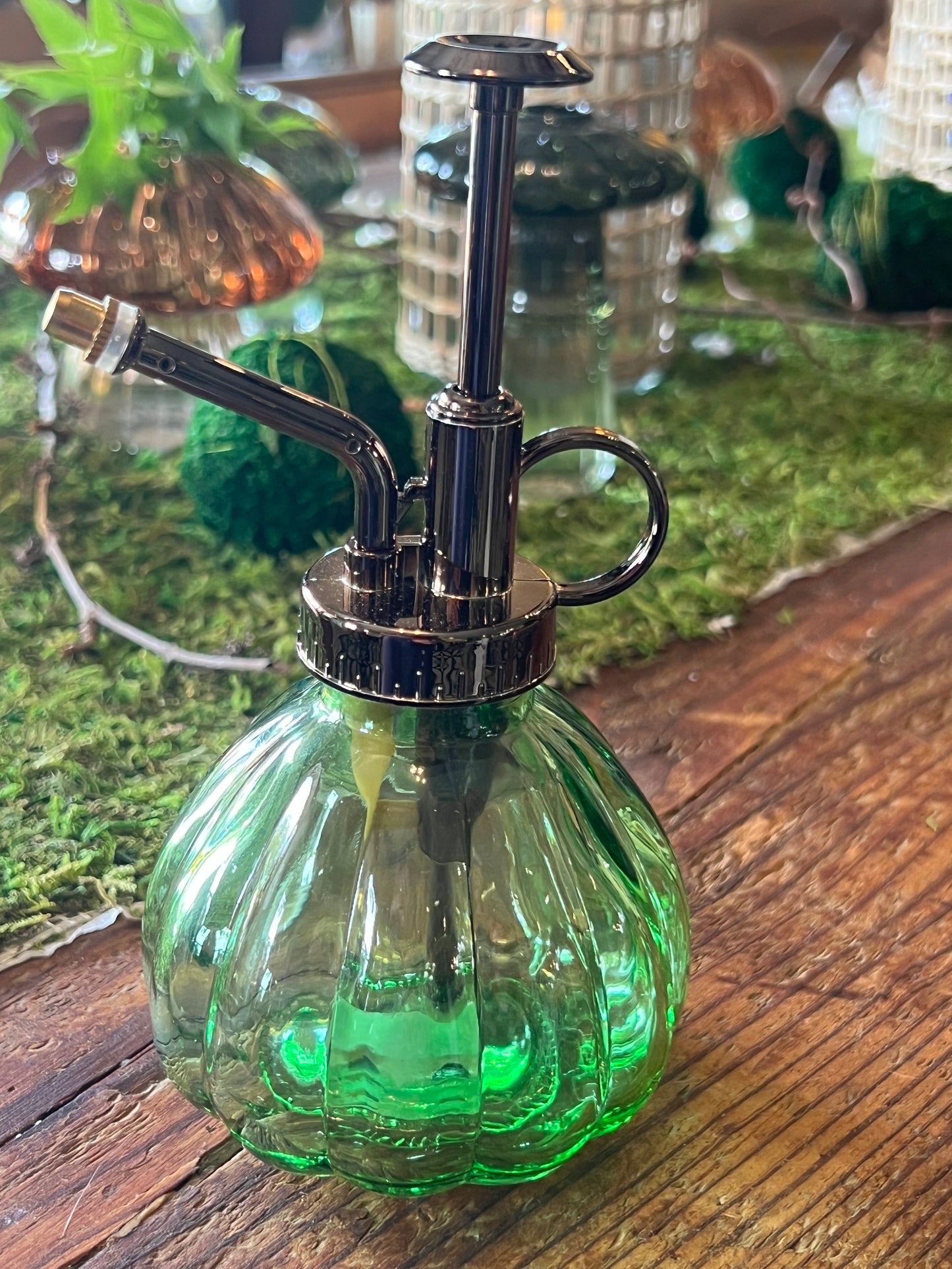 Glass Plant Mister