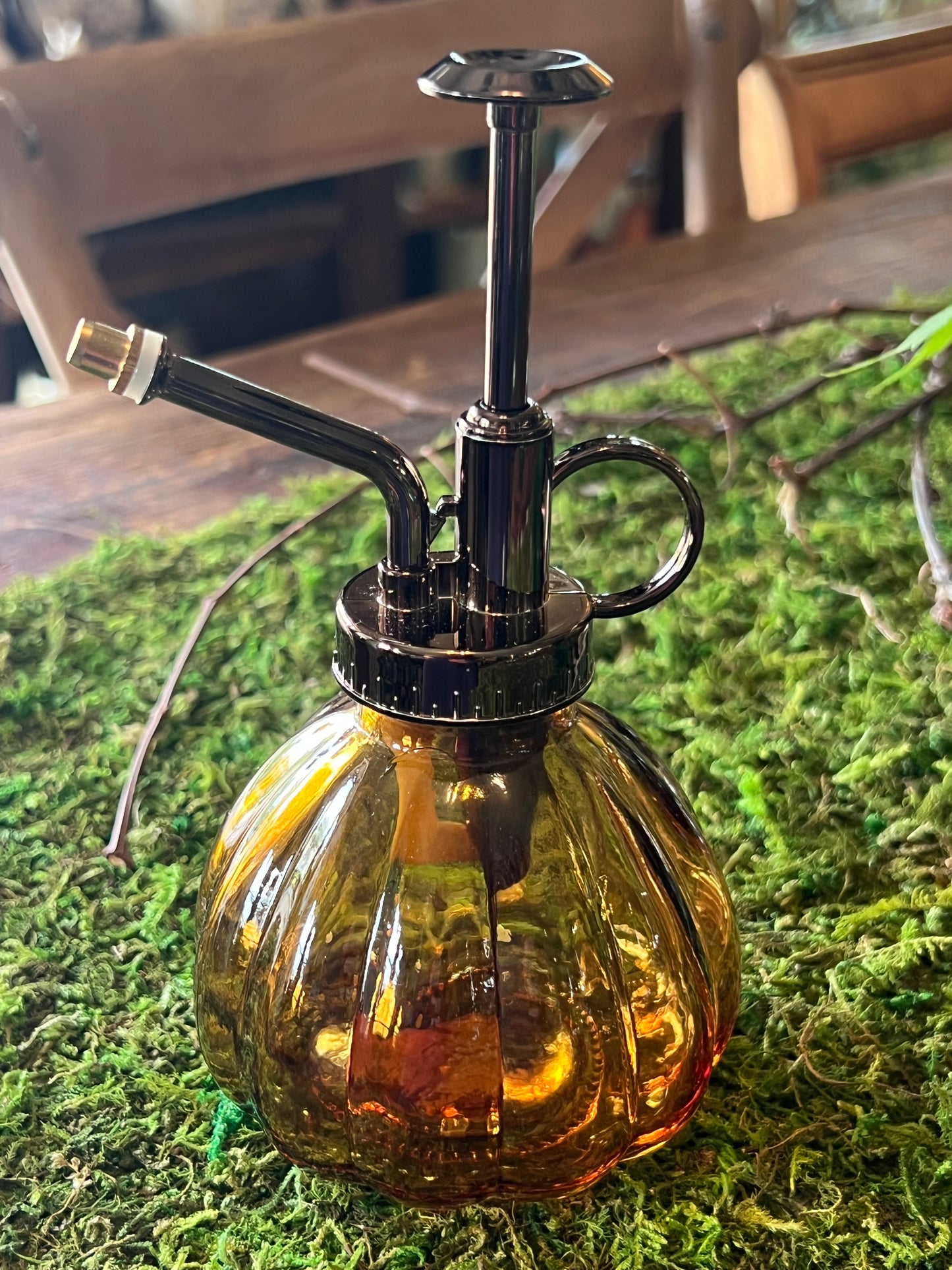 Glass Plant Mister