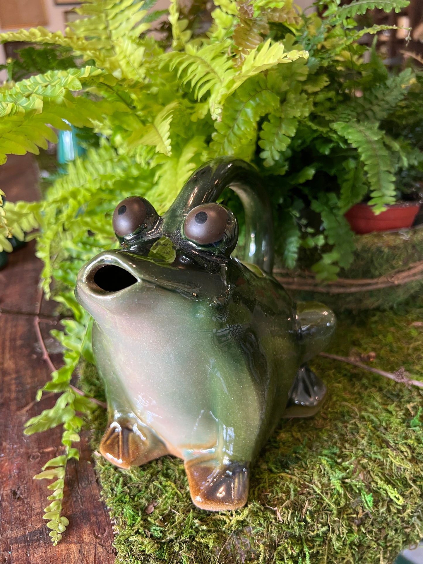 Ceramic Frog Watering Pitcher